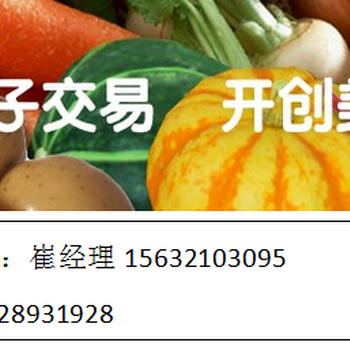 蔬菜招聘_蔬菜水果招聘展板矢量图免费下载 cdr格式 编号15952532 千图网(3)